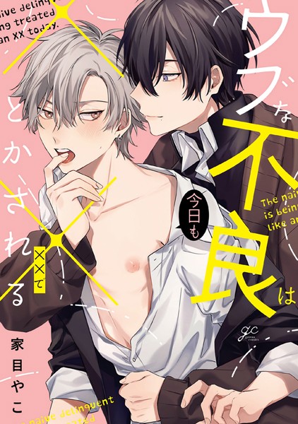 ウブな不良は今日も××でとかされる【単行本❤家目やこ】