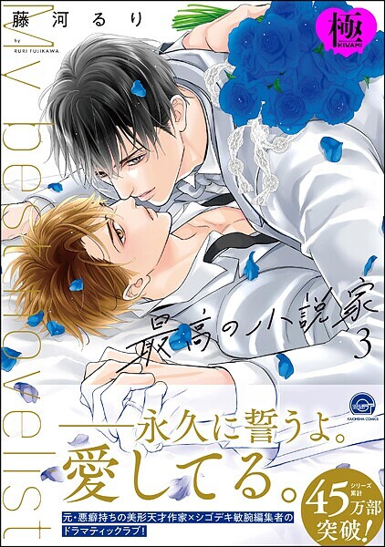 最高の小説家【極】【単行本❤藤河るり】