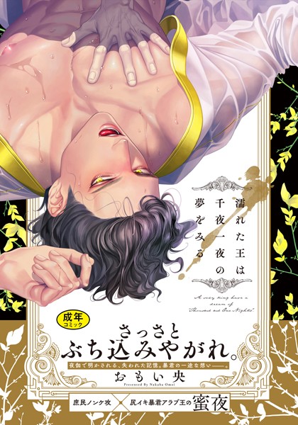 【18禁版】濡れた王は千夜一夜の夢をみる【単行本版（電子限定描き下ろし付）】【単行本❤おもい央】