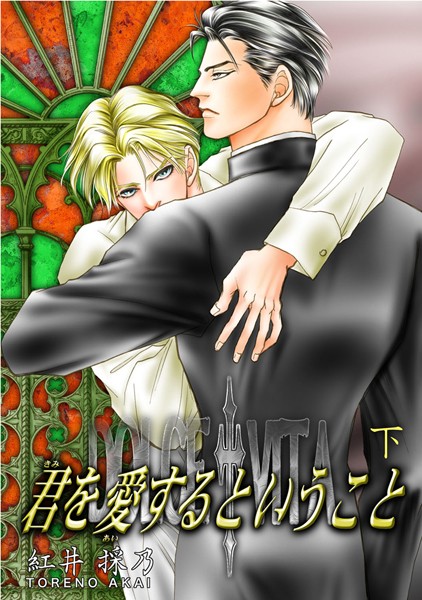 君を愛するということ【単行本❤紅井採乃】