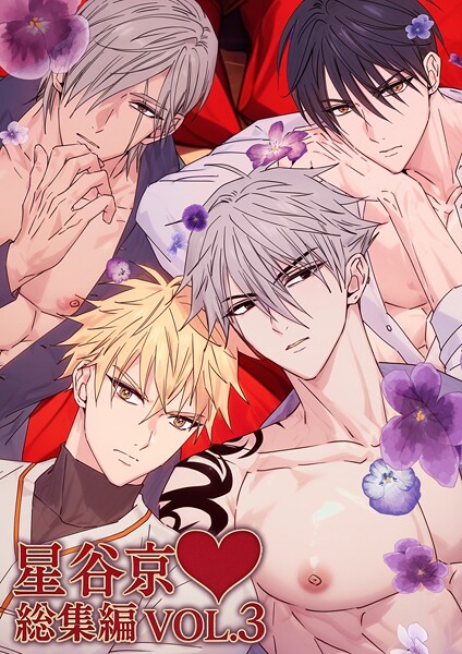 星谷京 総集編 VOL.3【棒修正版】【単行本❤星谷京】